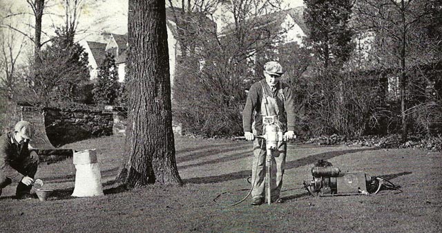 Man fertilizing trees