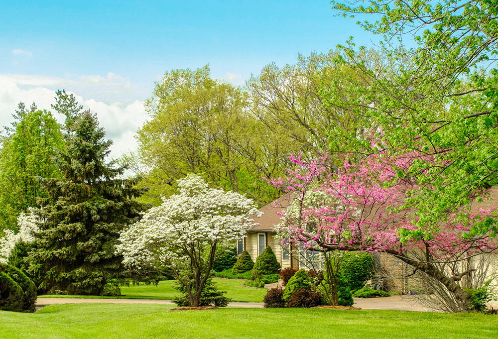 Beautiful landscaping using Doggett fertilzer